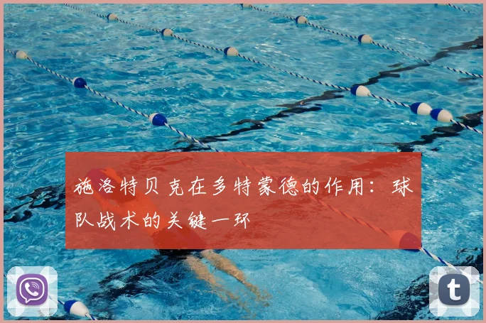 施洛特贝克在多特蒙德的作用：球队战术的关键一环